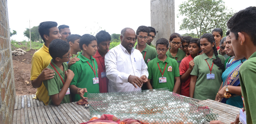 Sericulture Farming, Balligeri